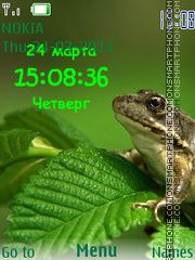 Frog SWF es el tema de pantalla