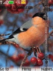 Capture d'écran Bullfinch thème