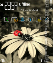 Daisy fp1 tema screenshot