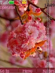 Sakura tema screenshot