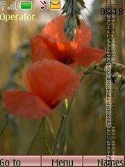 Poppies Wheat tema screenshot