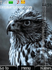 Eagle 12 theme screenshot