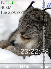 Lynx 03 theme screenshot