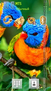 Parrot 05 tema screenshot