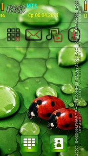 Ladybug tema screenshot