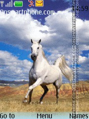 White horse 01 es el tema de pantalla