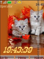 Kittens swf Theme-Screenshot