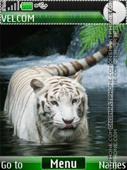 White tiger in water animat theme screenshot