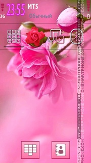 Pink Roses 03 tema screenshot