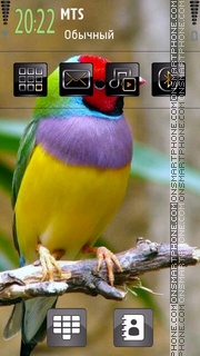 Bird 04 tema screenshot