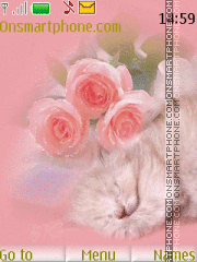 Скриншот темы Roses and Kitten