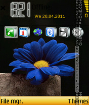 Blue Flower 07 theme screenshot