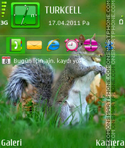 Squirrel es el tema de pantalla