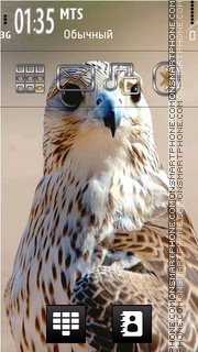 Falcon 01 tema screenshot