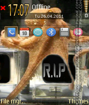 Octopus Paul theme screenshot