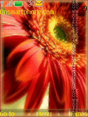 Gerbera es el tema de pantalla