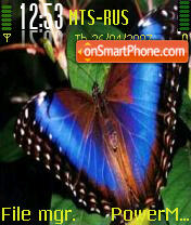 Butterfly 112 theme screenshot