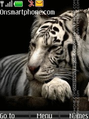 Скриншот темы White Tiger 14