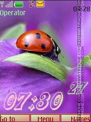 Ladybird_swf es el tema de pantalla