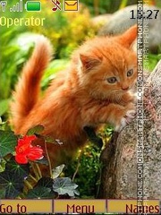 Capture d'écran Red kitten thème
