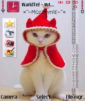 Скриншот темы Beautiful Cat 01