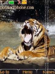 Capture d'écran Tiger 41 thème