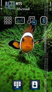 Скриншот темы Fish 10