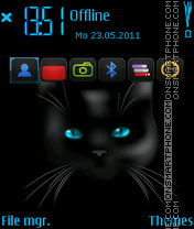 Black cat Theme-Screenshot