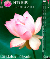 Pink-Lily es el tema de pantalla