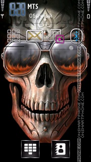 Skull 2013 tema screenshot