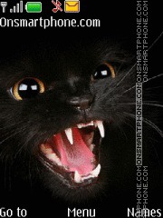 Скриншот темы Angry Black Cat
