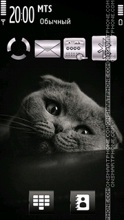 Beautiful Kitten tema screenshot