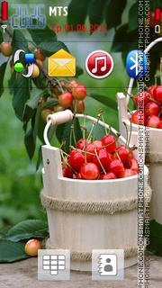 Cherries 04 theme screenshot